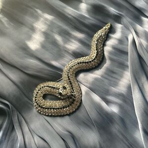 Glamorous Silver Snake Brooch